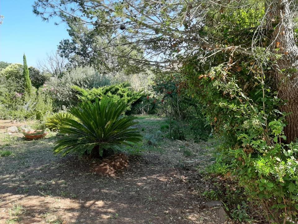 Mas Provencal Au Cannet Des Maures Le Cannet-des-Maures Dış mekan fotoğraf