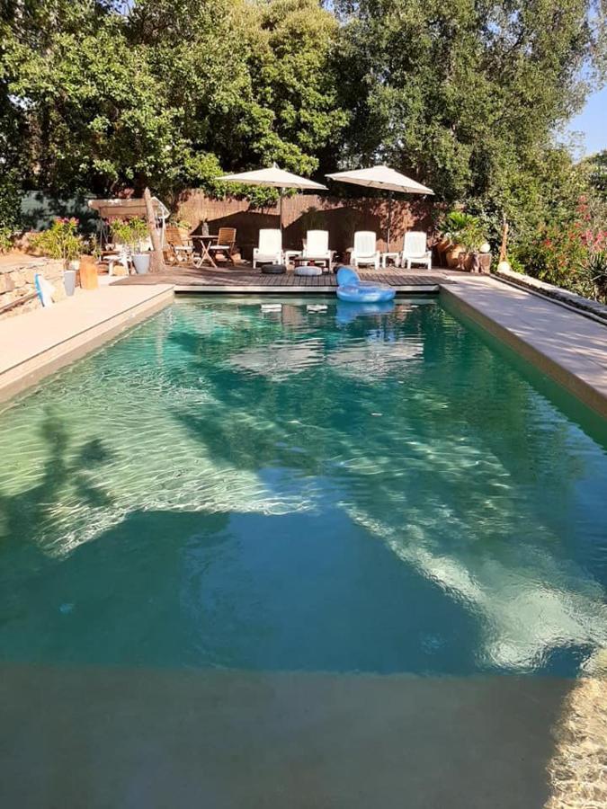 Mas Provencal Au Cannet Des Maures Le Cannet-des-Maures Dış mekan fotoğraf