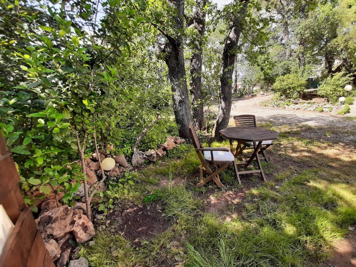 Mas Provencal Au Cannet Des Maures Le Cannet-des-Maures Dış mekan fotoğraf